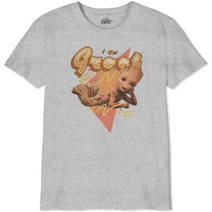 Marvel Boiamgmts009 T-shirt voor jongens (1 stuk), Grijs Melange