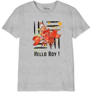 cotton division Bodlitlts003 T-shirt voor jongens (1 stuk), Grijs Melange