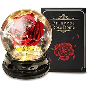 Beauty and The Beast Rose: kunstbloemen cadeau voor vrouwen, Kerstmis, Thanksgiving, Valentijnsdag, Moederdag, dochter, verjaardag, trouwdag
