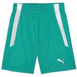 PUMA Uniseks kinderen Teamliga Shorts Jr