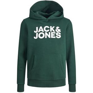 JACK&JONES JUNIOR Jjecorp Logo Sweatshirt Hood Noos JNR Trainingspak voor jongens, Pine Grove/Fit: Jr / Large Print
