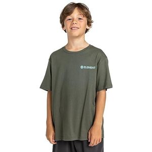 Element Blazin T-shirt voor jongens, 1 stuk