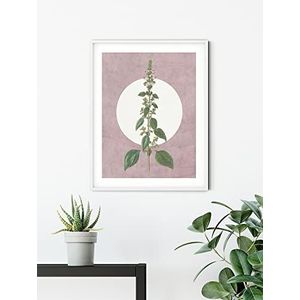 Komar Mint in groei, 50 x 70 cm, kunstdruk, decoratie voor woonkamer, slaapkamer (zonder lijst)