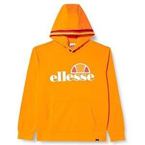 Ellesse Hoodie heren sweatshirt, ice on water ijs, oranje, M, waterijs oranje