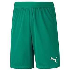 PUMA Teamfinal 21 Mesh Shorts voor kinderen