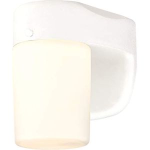 LED buitenwandlamp wandlamp dimbaar één lamp wit met opaalglas melkglas 61068