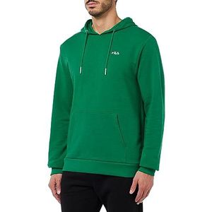 Fila Bengel Hoody heren, groen