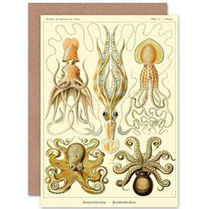 Blanco wenskaart natuur ernst heckel octopus uit Duitsland