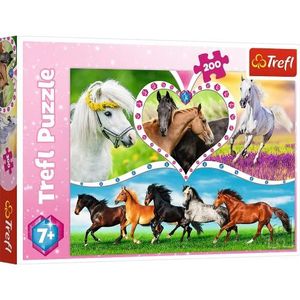 Trefl, Puzzel, mooie paarden, 200 stukjes, voor kinderen vanaf 7 jaar