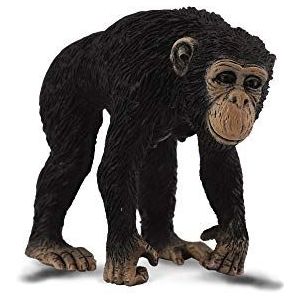 Collecta - Col88493 - chimpanzé vrouwelijk - maat M