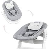 Hauck 2-in-1 babywipstoel en zitje voor kinderstoel Alpha Bouncer/vanaf de geboorte/met hoofdkussen/vaste positie of schommel/pastelbeer/grijs 661833