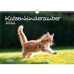 A3 kalender voor kinderen kat 2022 ziel