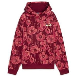 PUMA Ess+ Class Act Aop Hoodie Fl Hoodies Uniseks