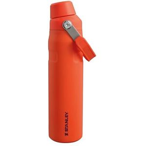 Stanley - drinkfles- The Aerolight™ IceFlow™ Water Bottle Fast Flow - 600ml - Tigerlily Plum