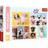 Trefl - Hondenvriendschap, puzzel met 160 elementen – kleurrijke puzzels met dieren, collage, honden, creatief entertainment, spel voor kinderen vanaf 6 jaar