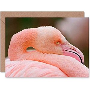 Wee Blue Coo Verjaardagskaart met vogelbeeld en flamingo-hoofd