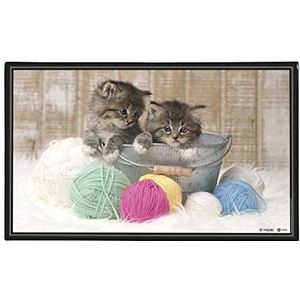 Viquel - Decoratieve bureauonderlegger katten - bureaubeschermer voor kinderen of volwassenen, kittens - 59,5 x 36,2 cm - zwart