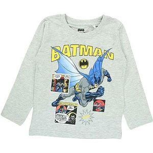 Disney Bat 52 02 484 S2 T-shirt voor jongens, grijs.
