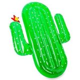 Didak Pool Outdoor-spellen – opblaasbare matras / zwemring – luxe cactus-zwemring – 185 x 132 x 20 cm