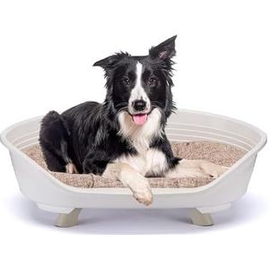 Ferplast Hondenbed en kattenbed met katoenen kussen, verhoogd kunststof bed voor middelgrote honden en honden, wasbaar bed voor honden en katten, ademend en antislip, troon, 82 x