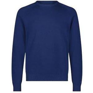 Lee Clean Raglan Sweater Herentrui, Blauw (True Navy)