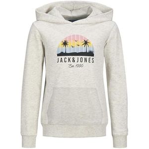 JACK & JONES Jjpalm Sweatshirt Hood Jnr Jjpalm Jnr Hoodie voor heren (1 stuk), Wit-grijs, 164