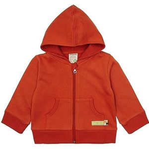 loud + proud Veste de survêtement unisexe pour enfant, certifiée GOTS, terracotta, 98-104