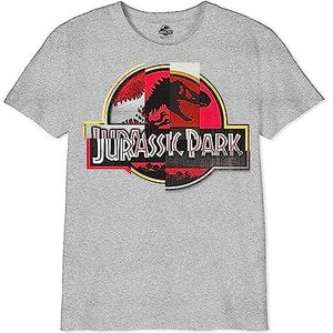 Jurassic Park T- Shirt Garçon, Gris Melange, 14 ans
