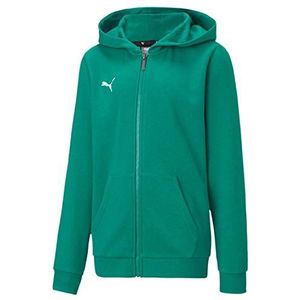 PUMA Unisex Kinder, teamGOAL 23 Casuals Hooded Jacket Jr Kapuzenjacke, Pepper Green, 164