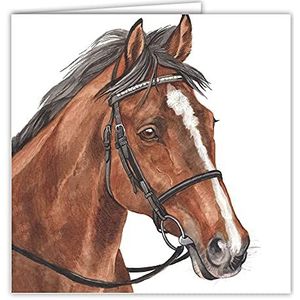 Maturi 441041 wenskaart blanco paard aquarel kleurrijk
