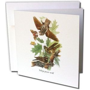 3dRose gc_114061_1 Whip-Poor-Will x John James Audubon wenskaarten, 15 x 15 cm, 6 stuks