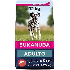 Eukanuba - Droogvoer rijk aan zalm en gerst voor volwassen honden met grote rassen – gevoelige huid en vacht - Glucosamine en L-carnitine - GMO-vrij, kunstmatige smaak, kleurstoffen – 12 kg
