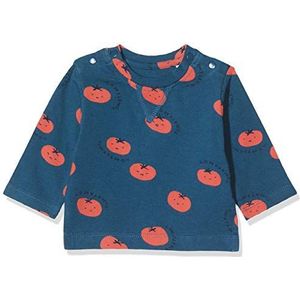 Imps&Elfs Baby Jongens T-shirt met lange mouwen B Regular Ls Temba AOP, Blauw (Majolica Blue P163), 62, blauw (Majolica Blue P163)