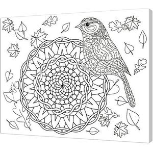 Pintcolor 7806.0 lijst met bedrukt canvas om in te kleuren, dennenhout; katoen, wit/zwart, 40 x 50 x 3,5 cm, 100% Made in Italy