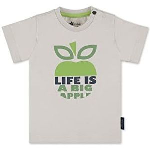 Sterntaler T-shirt met korte mouwen, appel, baby meisjes, Lichtgrijs