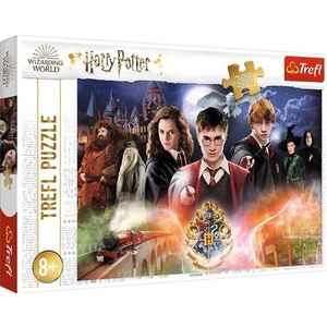 Trefl Trefl 300 - The Secret Harry Potter / Warner Harry Potter