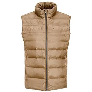 Jack & Jones Jjxx Jxnora lichtgewicht damesjack, wierook