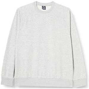 Champion Legacy American Classics Heavy Powerblend Terry Tonal Logo Crewneck heren sweatshirt, grijstinten, L, Grijze tinten