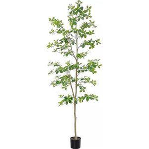 Zstar Schefflera Grote kunstboom met tofp, 210 cm, kunstplanten met natuurlijke stam, realistische bladeren voor thuis, kantoor, balkon