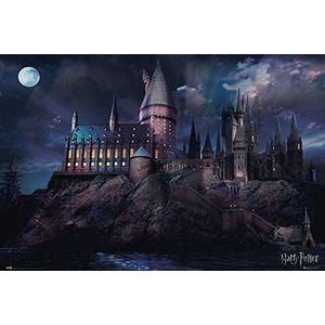 Grupo Erik - Harry Potter Hogwarts Poster - Woondecoratie, Wanddecoratie, Decoratieve Poster