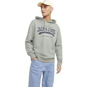 Jack & Jones Jjelogo Hoodie 2 kraag 23/24 Noos hoodie heren, Lichtgroen - Donkerblauw - Wit