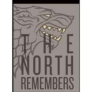 Game of Thrones FP12502P-PL Ingelijste afbeelding, 30 x 40 cm (The North Remembers), meerkleurig, 31 x 41 x 1,5 cm