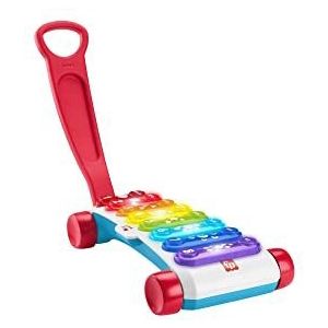 Fisher-Price Gigantische Xylofoon (Franse versie), dummy elektronisch muziekinstrument met educatieve liedjes voor peuters, kinderspeelgoed, vanaf 9 maanden, HJK40