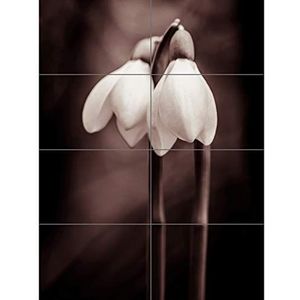 Artery8 Reuze-poster met 2 sneeuwdruppels, 8 delen, XL