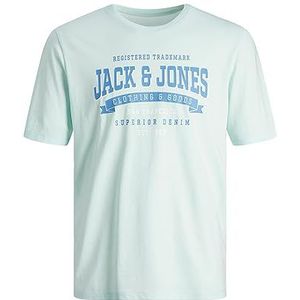 JACK & JONES Jjelogo Ss O-hals 2 kraag Ss24 Sn shirt met korte mouwen voor heren, Soothing Sea/Details: gemengd