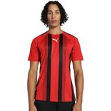 PUMA Teamliga gestreept shirt voor heren