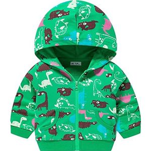Little Hand Sweatshirt met capuchon voor kinderen, jongens, lange mouwen, trui met capuchon, sweatshirt voor jongens, Dinosaurus 4