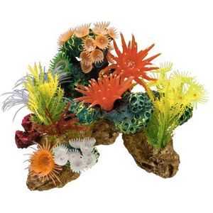 Nobby Koraalsteen met planten, decoratie voor aquaria, 19 x 15 x 15 cm