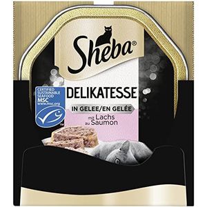 Sheba Delicaat in gelei – hoogwaardig natvoer voor katten – natvoer met zalm – in de praktische kom – 22 x 85 g compleet voer