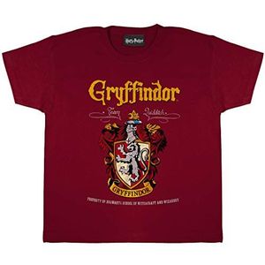 Harry Potter Gryffindor T-shirt met familiewapen | Officieel gelicentieerd product | bijpassend familiebovendeel Hogwarts maten kinderen en volwassenen, Jongens Gryffindor.